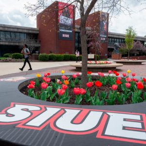A view at the SIUE campus. (SIUE photo) 