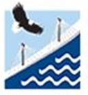 rbgasquarelogo